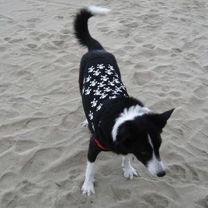 Meet your Posher, Janelle